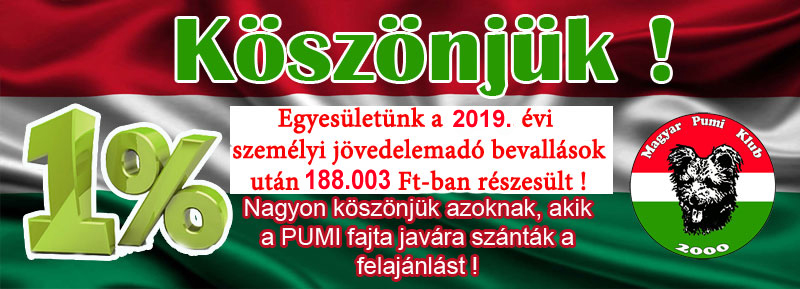 2019-ado.jpg