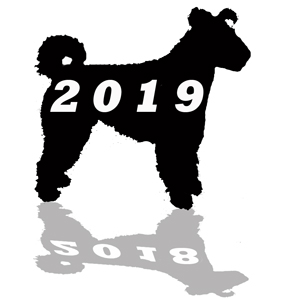 Tervezett programok a 2019. évben