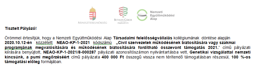 Pályázat 2021