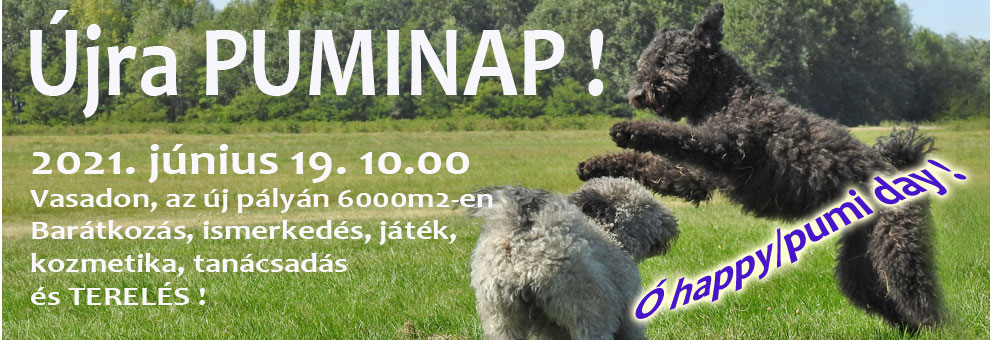 puminap-slider.jpg