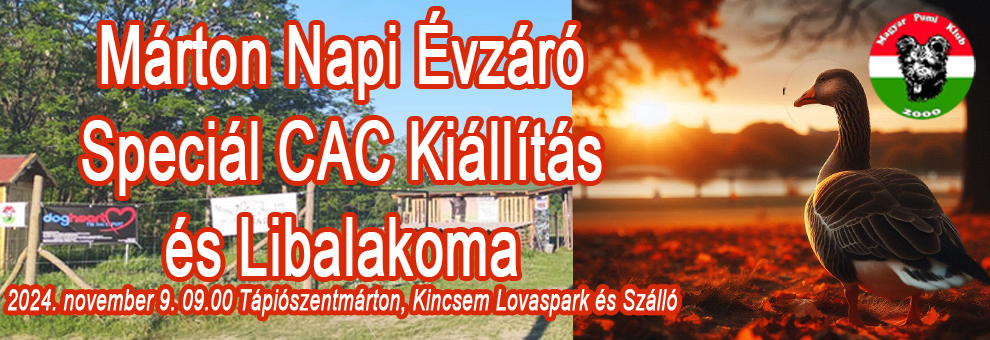 Márton Napi Évzáró Speciál CAC és Tenyészszemle 2024