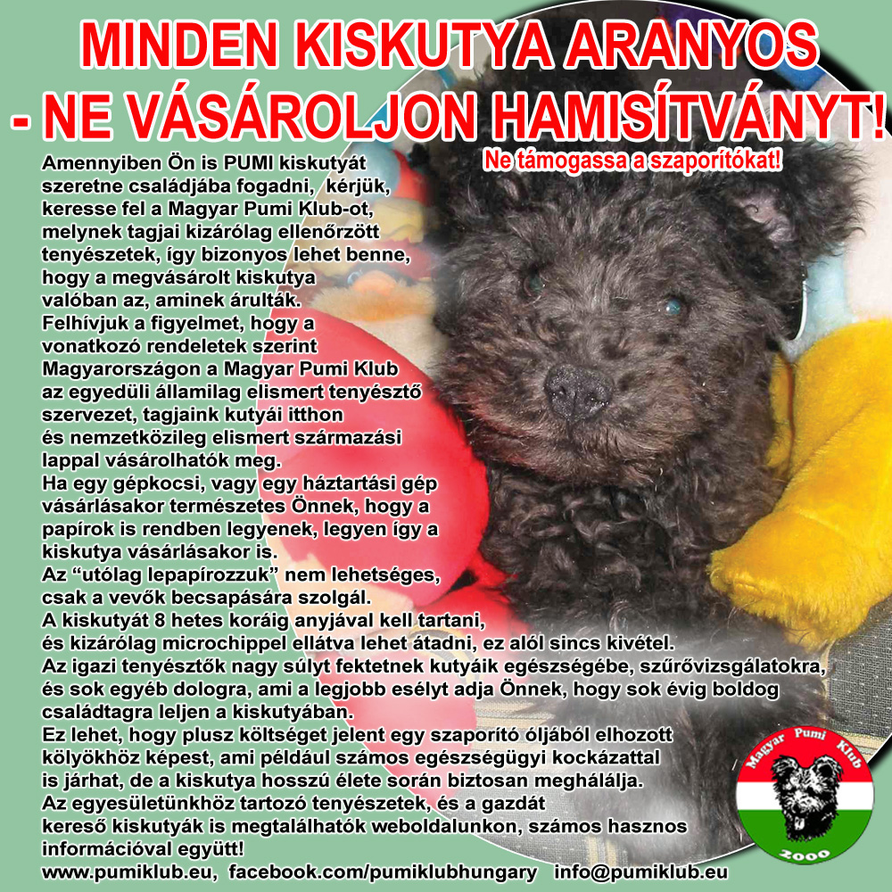 hamisitvany02.jpg