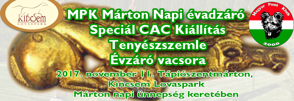 slider-marton.jpg